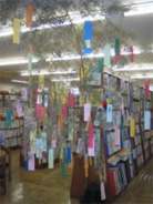 七夕の展示